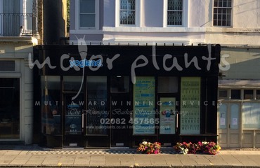 Major Plants Ltd - Before after - London - UK - Image 4