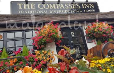 Major Plants Ltd - Compasses Inn - London - UK - Image 4