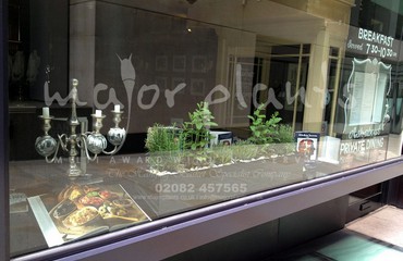 Major Plants Ltd - Herb Displays - London - UK - Image 16