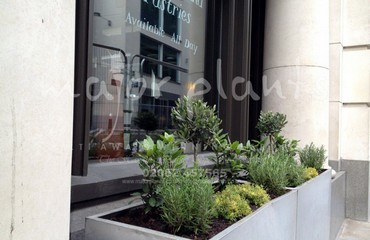 Major Plants Ltd - Herb Displays - London - UK - Image 19