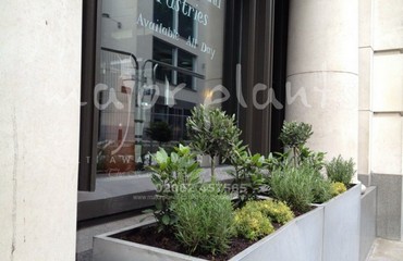 Major Plants Ltd - Herb Displays - London - UK - Image 31