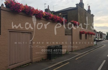 Major Plants Ltd - Our Customers - London - UK - Image 32