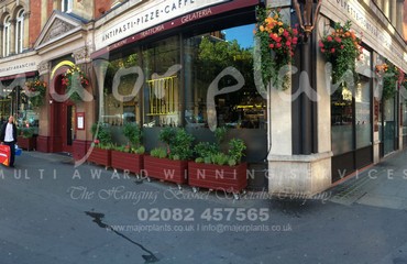 Major Plants Ltd - Our Customers - London - UK - Image 44