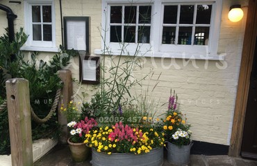 Major Plants Ltd - Pots and Troughs - London - UK - Image 19