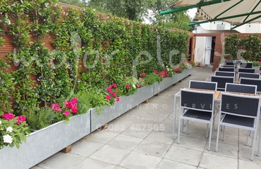 Major Plants Ltd - Pots and Troughs - London - UK - Image 29