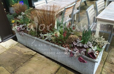 Major Plants Ltd - Pots and Troughs - London - UK - Image 63