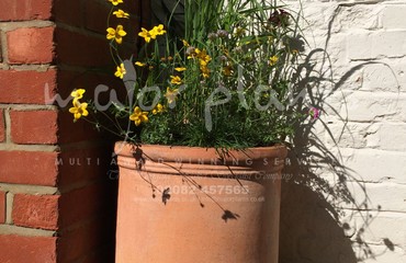 Major Plants Ltd - Pots and Troughs - London - UK - Image 81