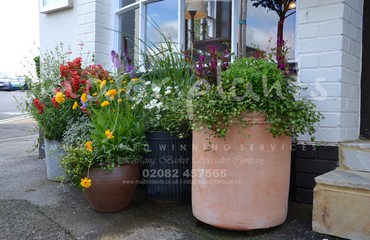 Major Plants Ltd - Pots and Troughs - London - UK - Image 86