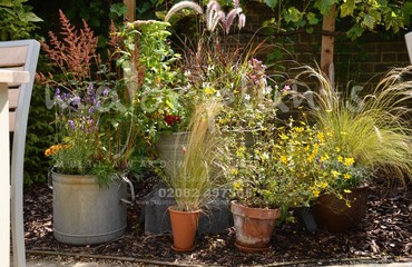 Major Plants Ltd - Pots and Troughs - London - UK - Image 100