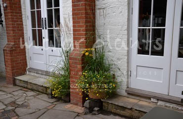 Major Plants Ltd - Pots and Troughs - London - UK - Image 112