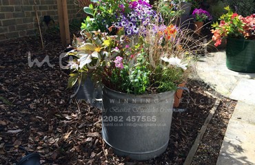 Major Plants Ltd - Pots and Troughs - London - UK - Image 131