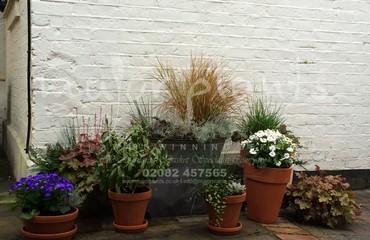 Major Plants Ltd - Pots and Troughs - London - UK - Image 143