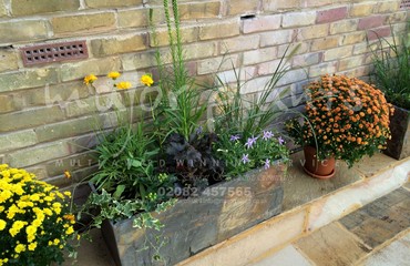 Major Plants Ltd - Pots and Troughs - London - UK - Image 150