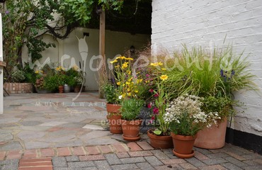 Major Plants Ltd - Pots at Kings Head - London - UK - Image 2
