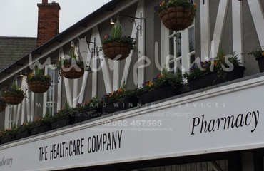 Major Plants Ltd - Winter Displays - London - UK - Image 6