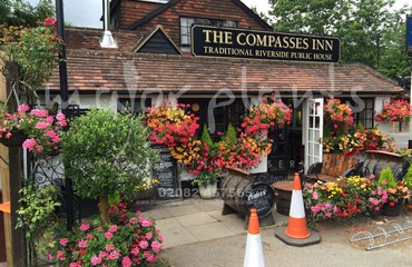 Major Plants Ltd - Compasses Inn - London - UK - Image 3