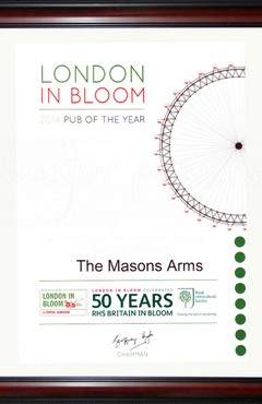 Major Plants Ltd - Masons Arms - London - UK - Image 24
