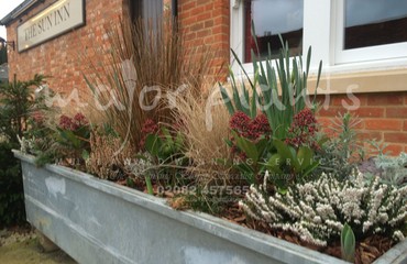 Major Plants Ltd - Pots and Troughs - London - UK - Image 65
