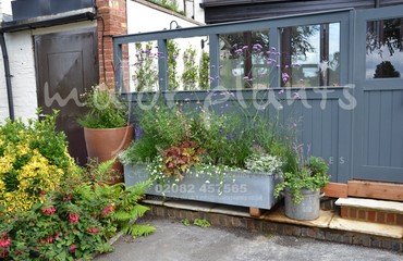 Major Plants Ltd - Pots and Troughs - London - UK - Image 92