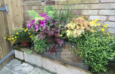Major Plants Ltd - Pots and Troughs - London - UK - Image 123