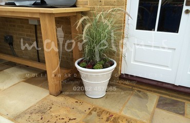 Major Plants Ltd - Pots and Troughs - London - UK - Image 153